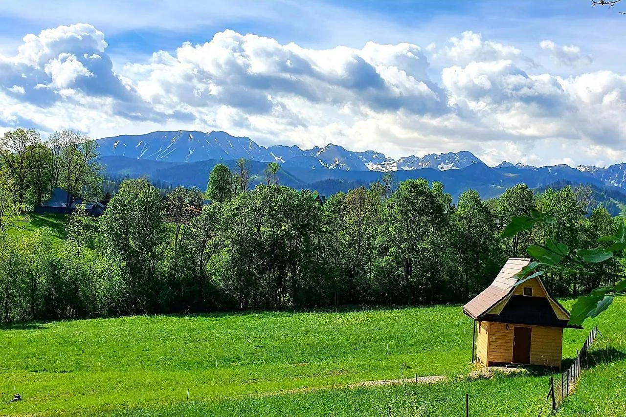 Tatrzanska Rezydencja Pod Brzyzkiem Zakopane Poland